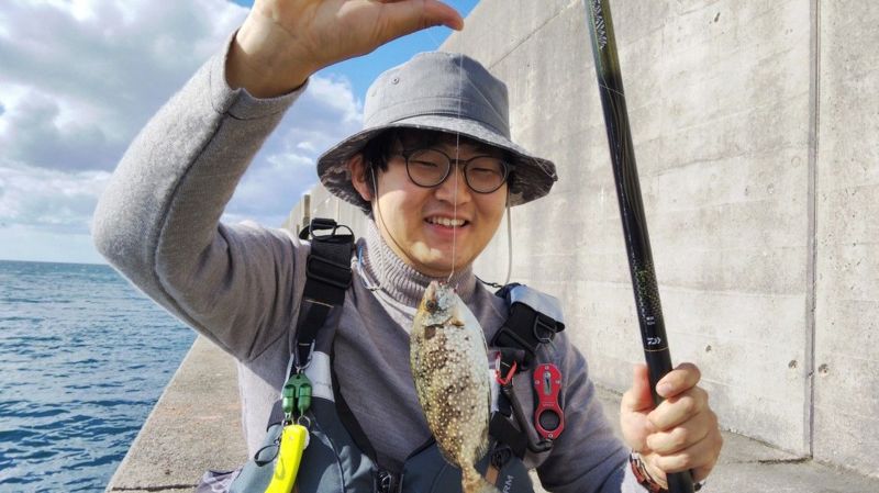和歌山県のエサ釣りでアイゴ釣果