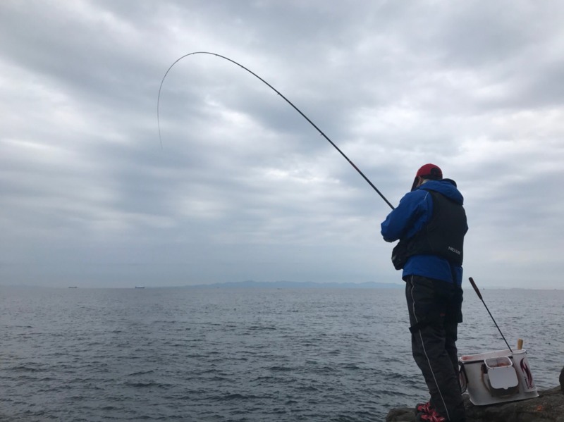 和歌山県上野渡船のフカセ釣りでグレ釣果