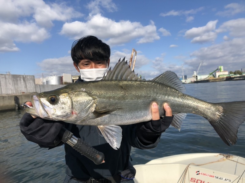 大阪府大阪湾FUJIYMAの船釣りでシーバス・キビレ釣果