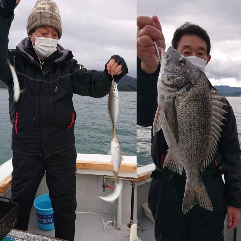 福井県田中渡船のサビキ釣りでマアジ・チヌ・カワハギ・小鯛釣果
