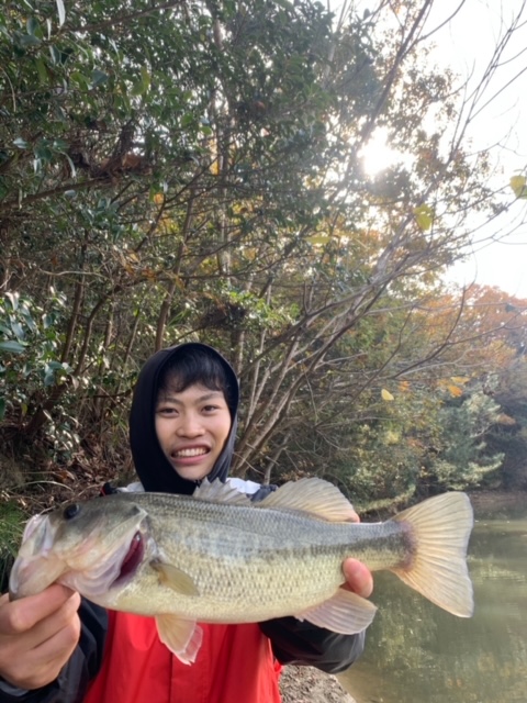 兵庫県淡路島の野池でブラックバス釣果