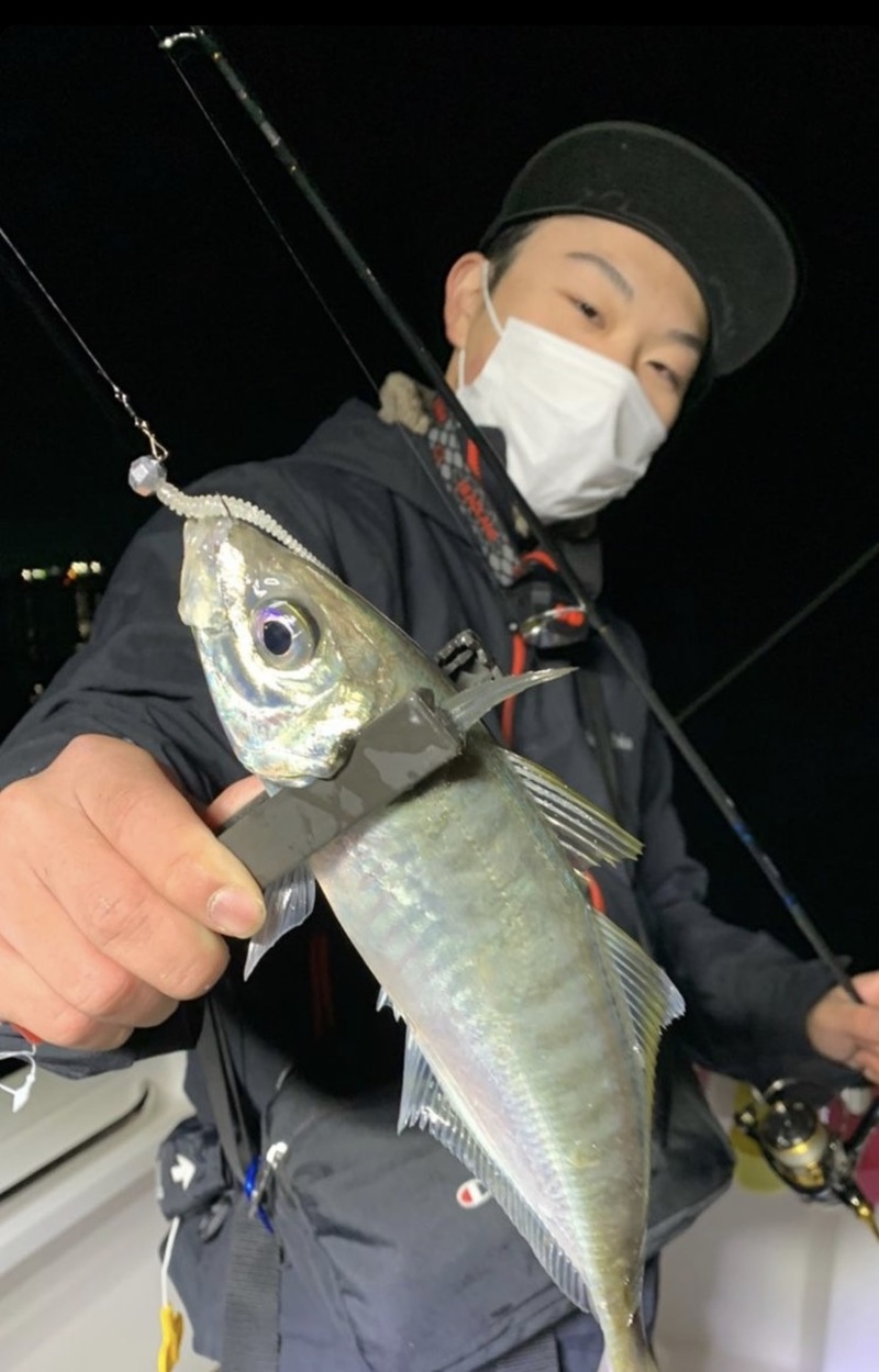 和歌山県フィッシングボートAirのボートアジングでアジ釣果