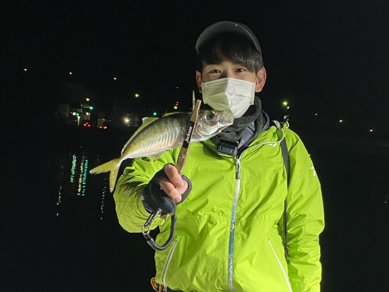 和歌山県フィッシングボートAirのボートアジングでアジ釣果