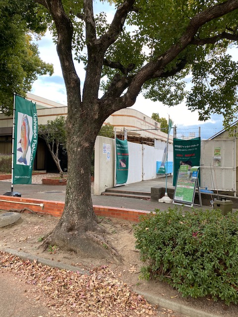 大阪府の岸和田フィッシングパークでニジマス釣果