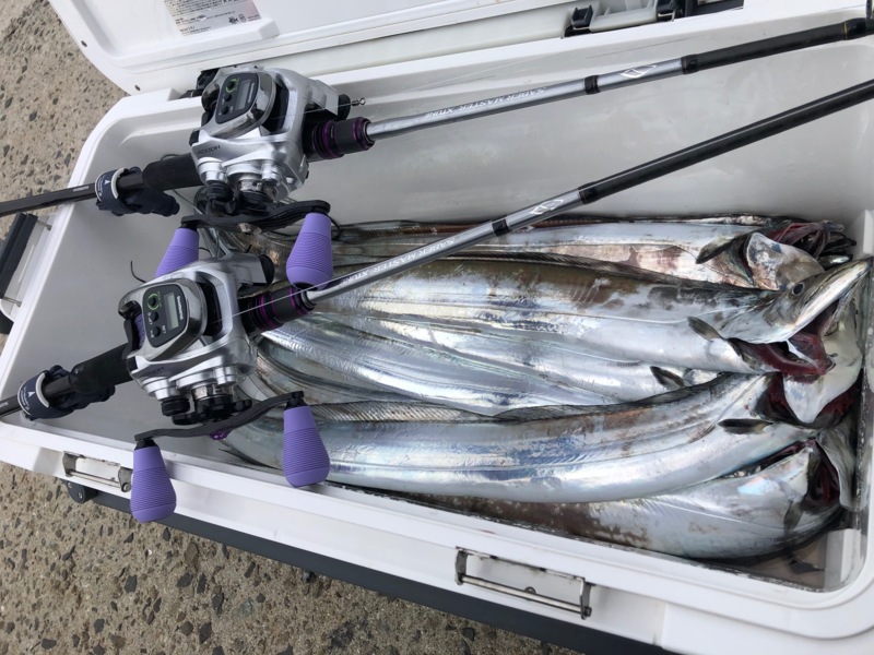 兵庫県丸松乗合船の船釣りでタチウオ釣果