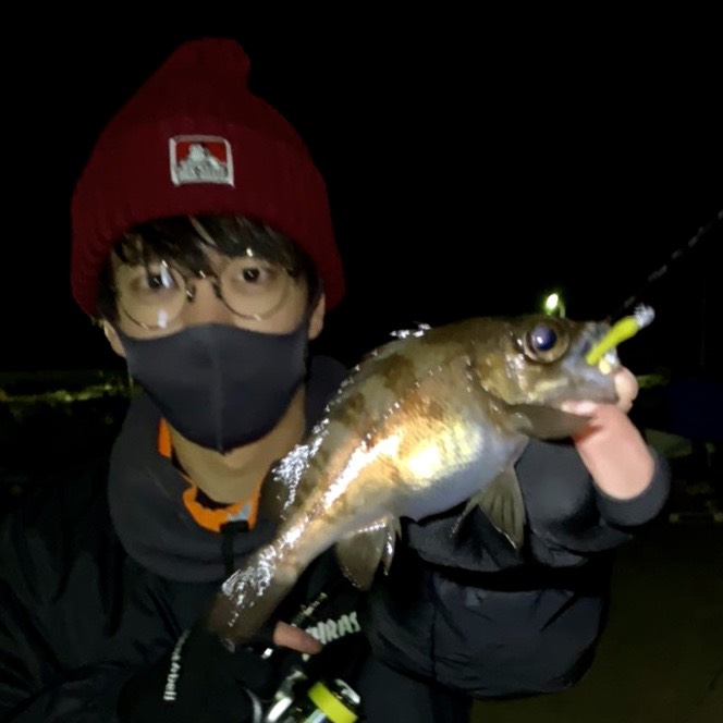 兵庫県淡路島のライトゲームでメバル・アジ釣果