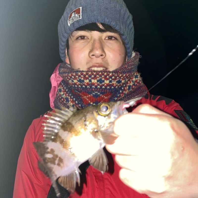 兵庫県淡路島のライトゲームでメバル・アジ釣果