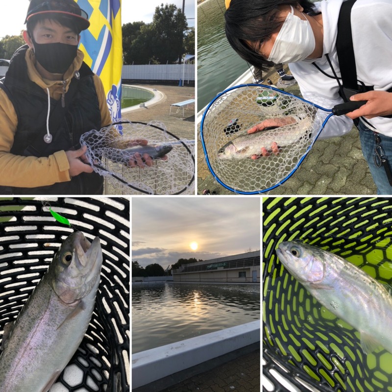 大阪府の岸和田フィッシングパークでトラウト釣果