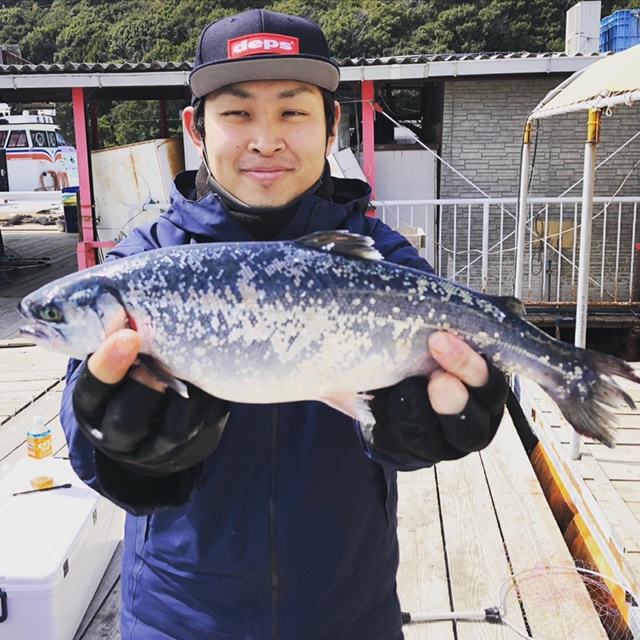 兵庫県海上釣り堀水宝の釣り堀でブリ・鯛・サーモン釣果