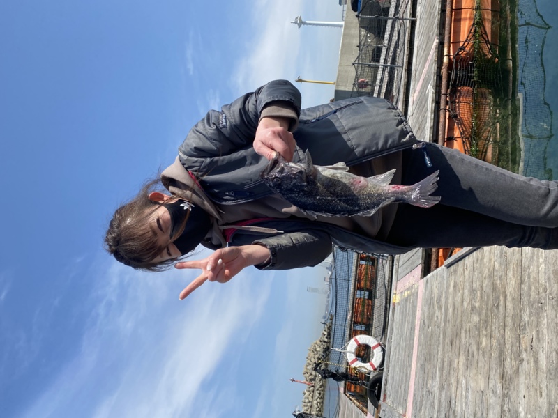 大阪府海上釣り堀サザンのエサ釣りで真鯛・ソイ・銀鮭釣果