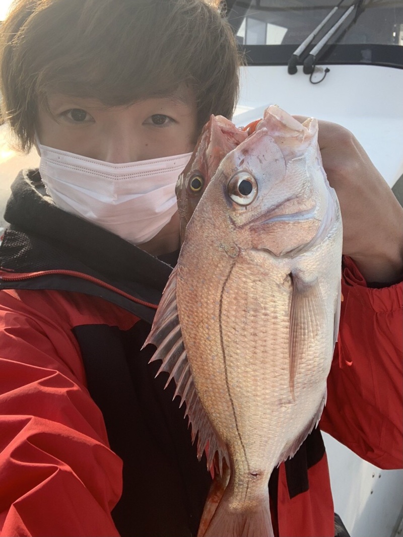 兵庫県東二見海豚の船釣りでタイ・ホウボウ釣果