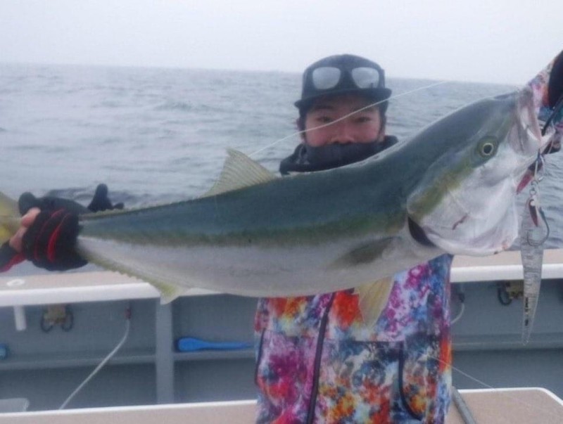 京都府舞鶴ドリームチェイサーの船釣りで鰤・メジロ釣果