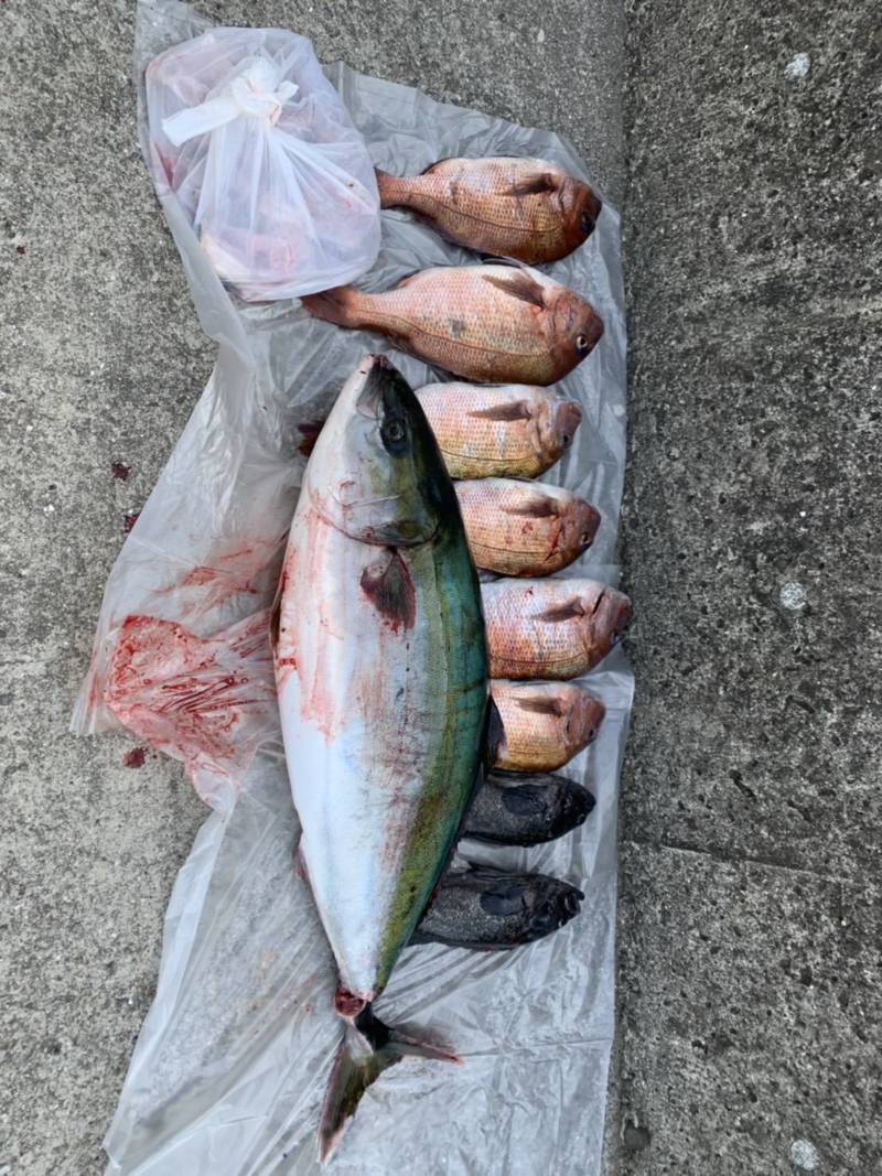 大阪府海釣ぽーと田尻の海上釣堀でブリ・マダイ・クロソイ釣果