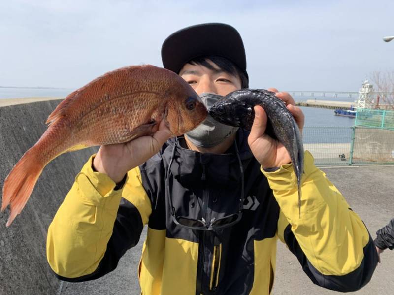大阪府海釣ぽーと田尻の海上釣堀でブリ・マダイ・クロソイ釣果