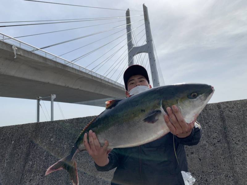 大阪府海釣ぽーと田尻の海上釣堀でブリ・マダイ・クロソイ釣果