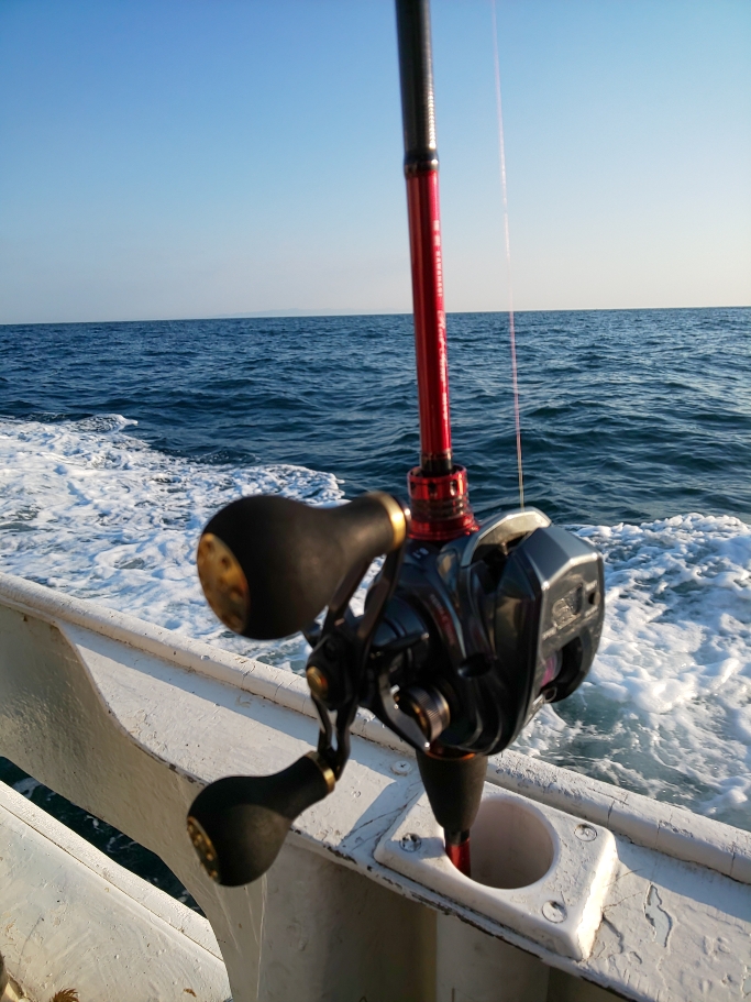 徳島県阿南市水天丸の船釣りでカワハギ釣果