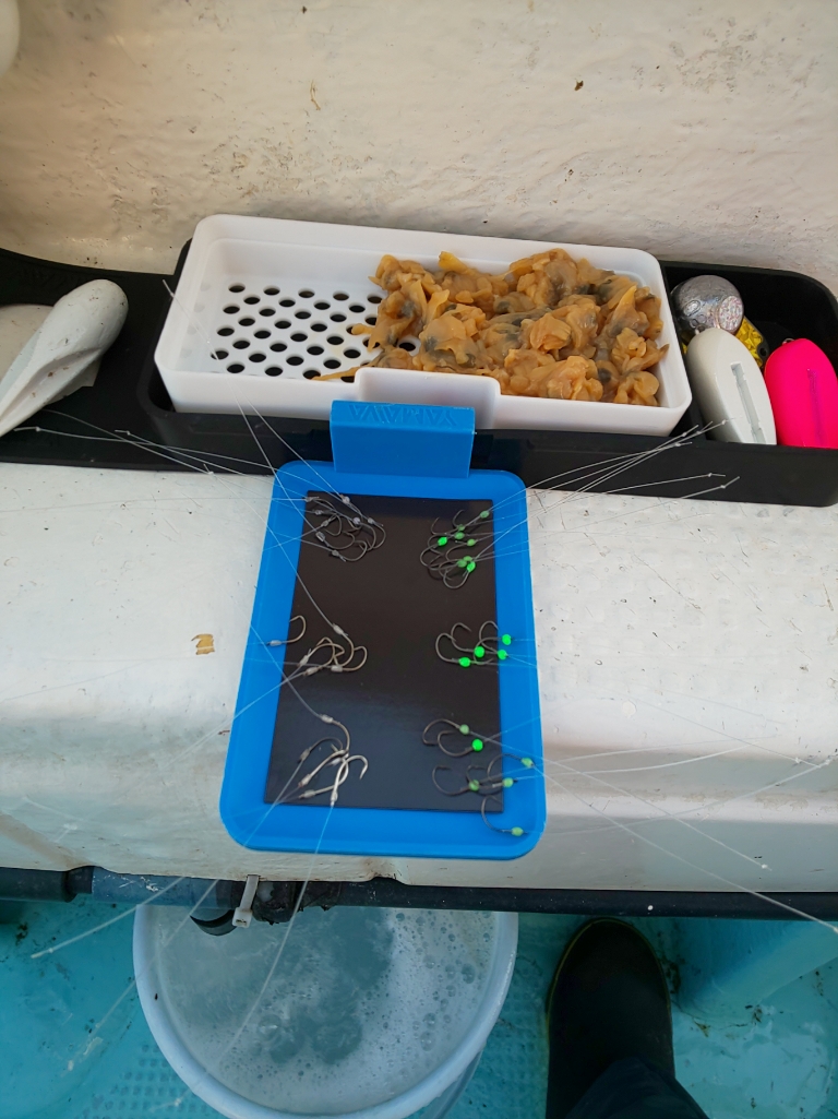 徳島県阿南市水天丸の船釣りでカワハギ釣果