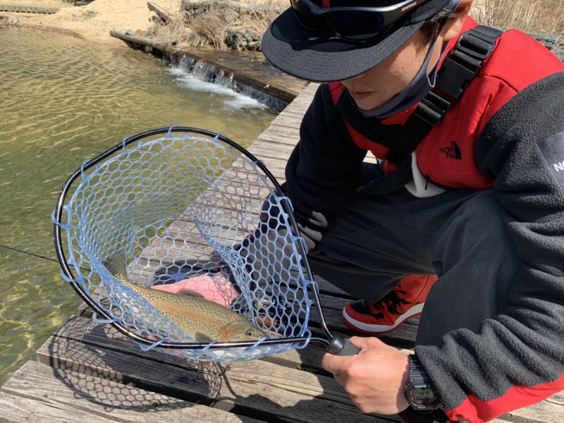 京都府のなごみの湖湯船森林公園でトラウト釣果