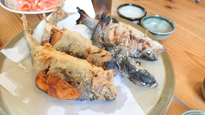 大阪府南河内郡の千早川マス釣場でニジマス釣果