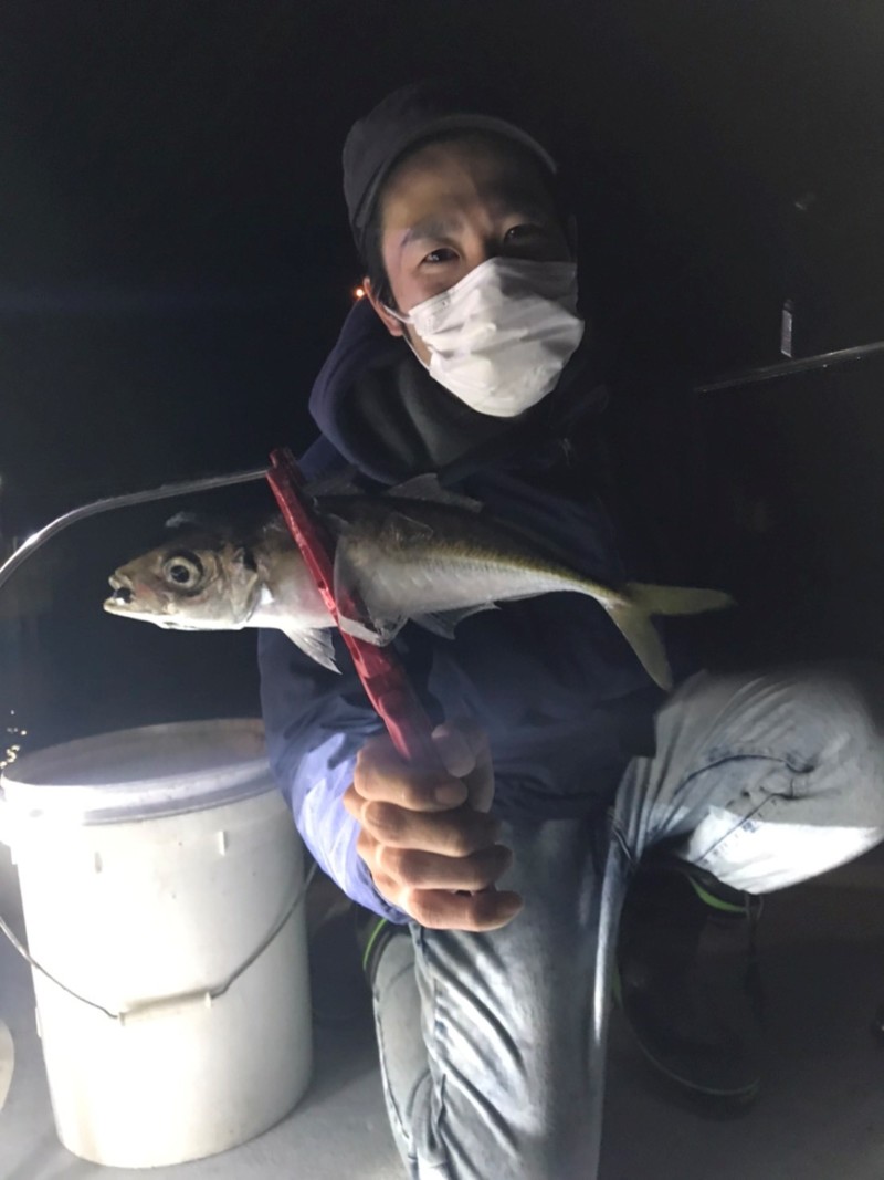 和歌山県モンスターラッシュの船釣りでアジ釣果