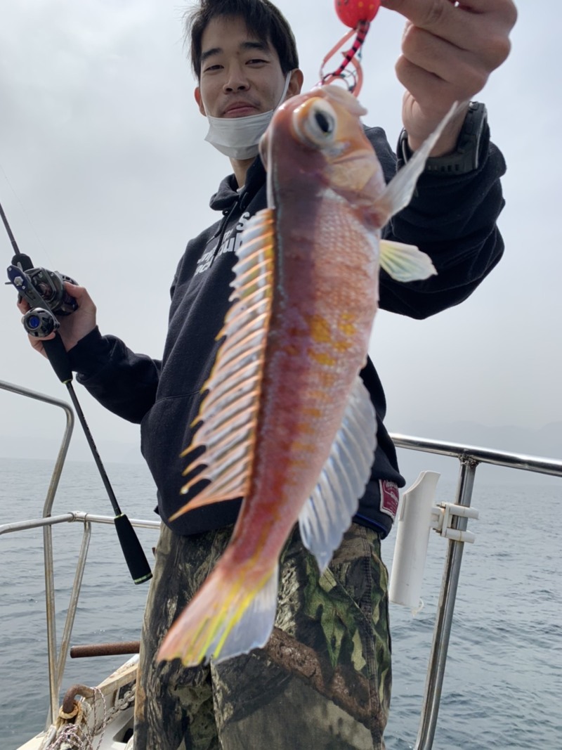 京都府翔舞丸の船釣りでアマダイ・ガシラ・サワラ釣果