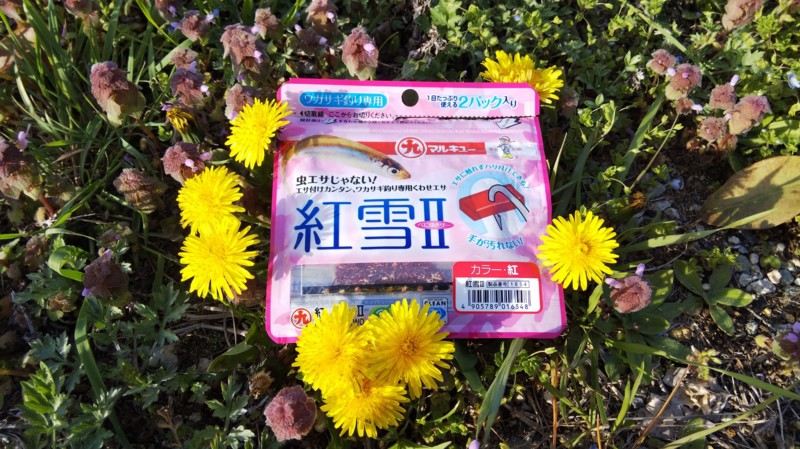 兵庫県波豆川水系のウキ釣りでヤリタナゴ・カワムツ釣果