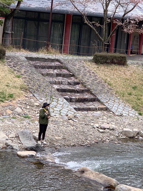兵庫県の小柿渓谷放流釣場でアマゴ釣果