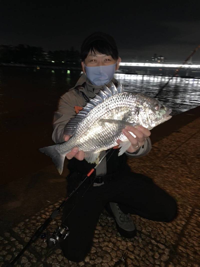 兵庫県武庫川のソルトルアーでキビレ釣果