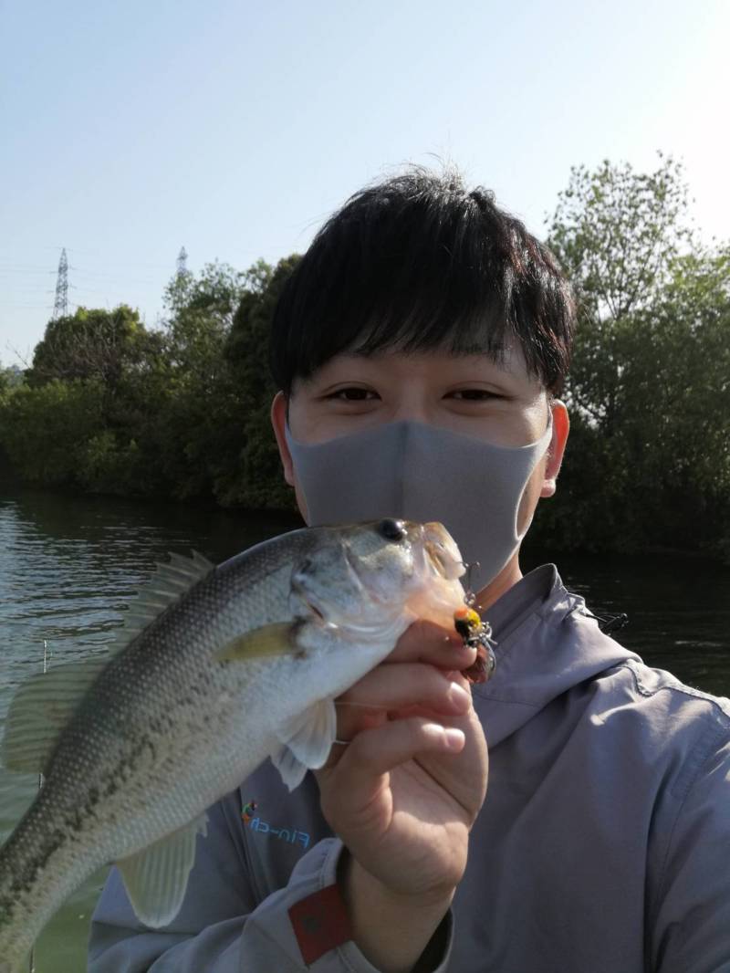 大阪府淀川下島周辺のバス釣りでブラックバス釣果