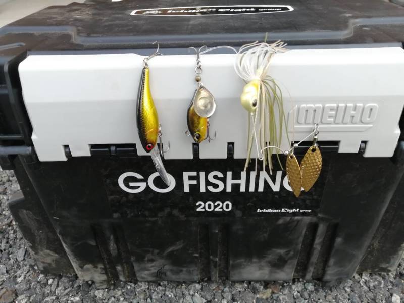 大阪府淀川下島周辺のバス釣りでブラックバス釣果