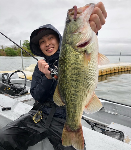 滋賀県琵琶湖のバス釣りでブラックバス釣果