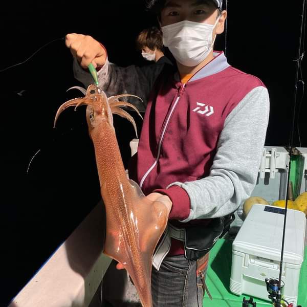 京都府和丸の船釣りでイカ釣果