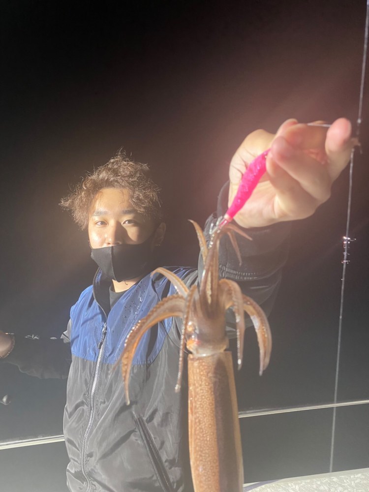 京都府宮津市エビスの船釣りでケンサキイカ釣果