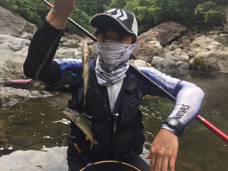 奈良県天川の鮎友釣りで鮎釣果