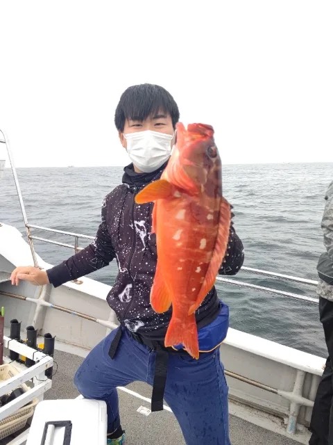 三重県ワンステップのSLJでイサキ・アカハタ釣果