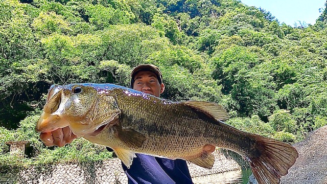 三重県正連寺ダムのルアーフィッシングでブラックバス釣果
