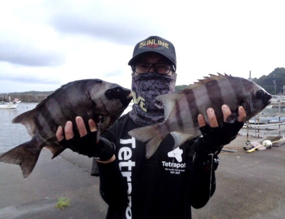 三重県鳥羽市国崎町功成丸の船釣りで石鯛釣果