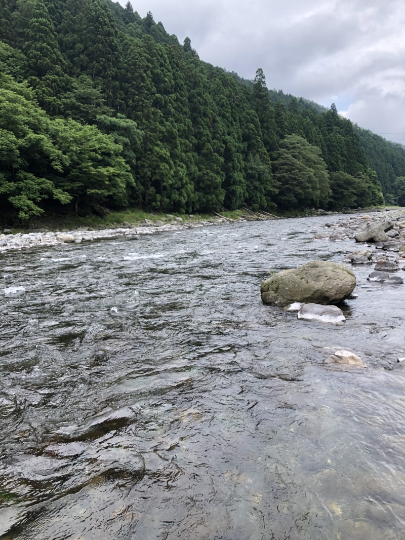 滋賀県安曇川朽木村の鮎友釣りで鮎釣果