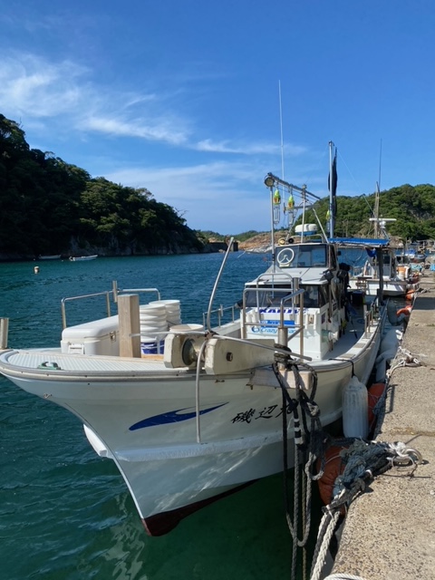 島根県磯辺丸の船釣りでケンサキイカ釣果