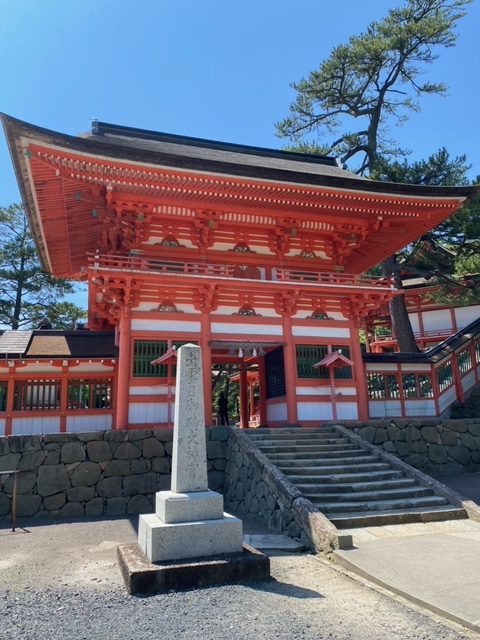 島根県磯辺丸の船釣りでケンサキイカ釣果