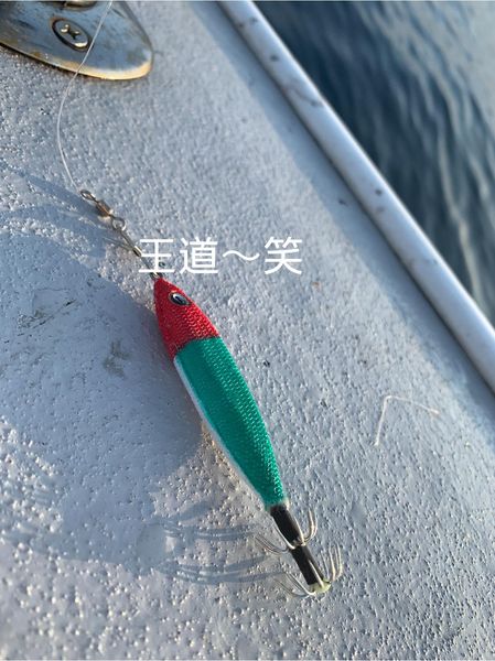 鳥取県賀露北祐丸の船釣りで白イカ釣果