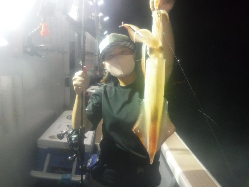 京都府舞鶴ドリームチェイサーの船釣りでケンサキイカ釣果