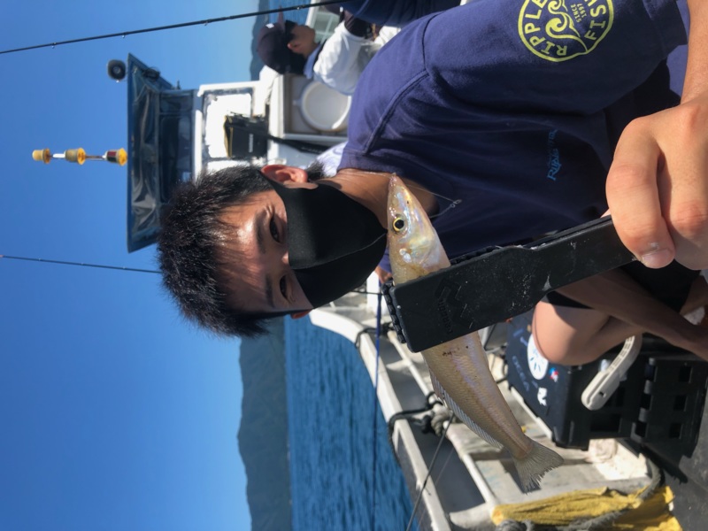 福井県小浜奴渡船の船サビキでアジ・キス釣果