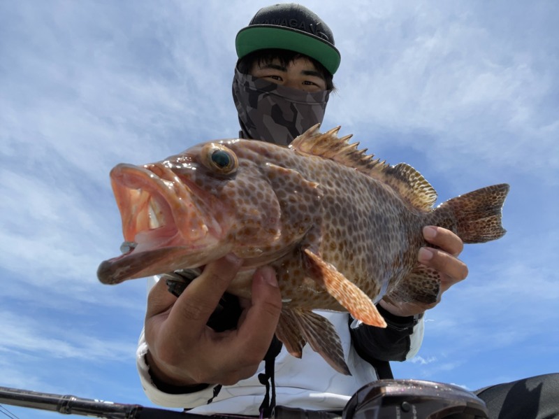 和歌山県木下丸の船釣りでアジ・サバ・ヒラメ・オウモンハタ釣果