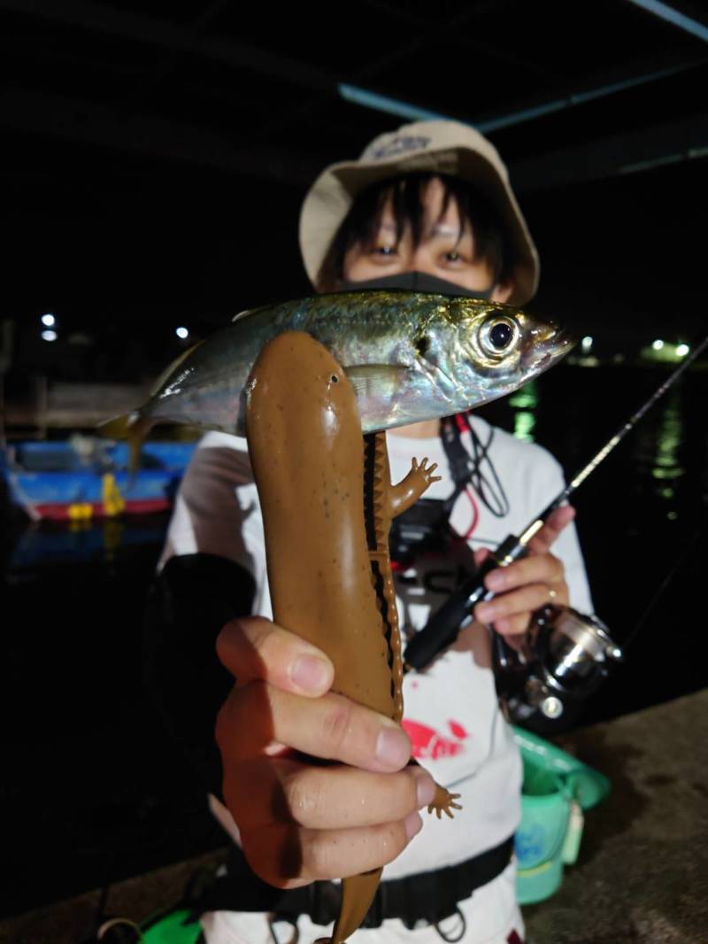 大阪府小島養魚場のアジングでアジ釣果