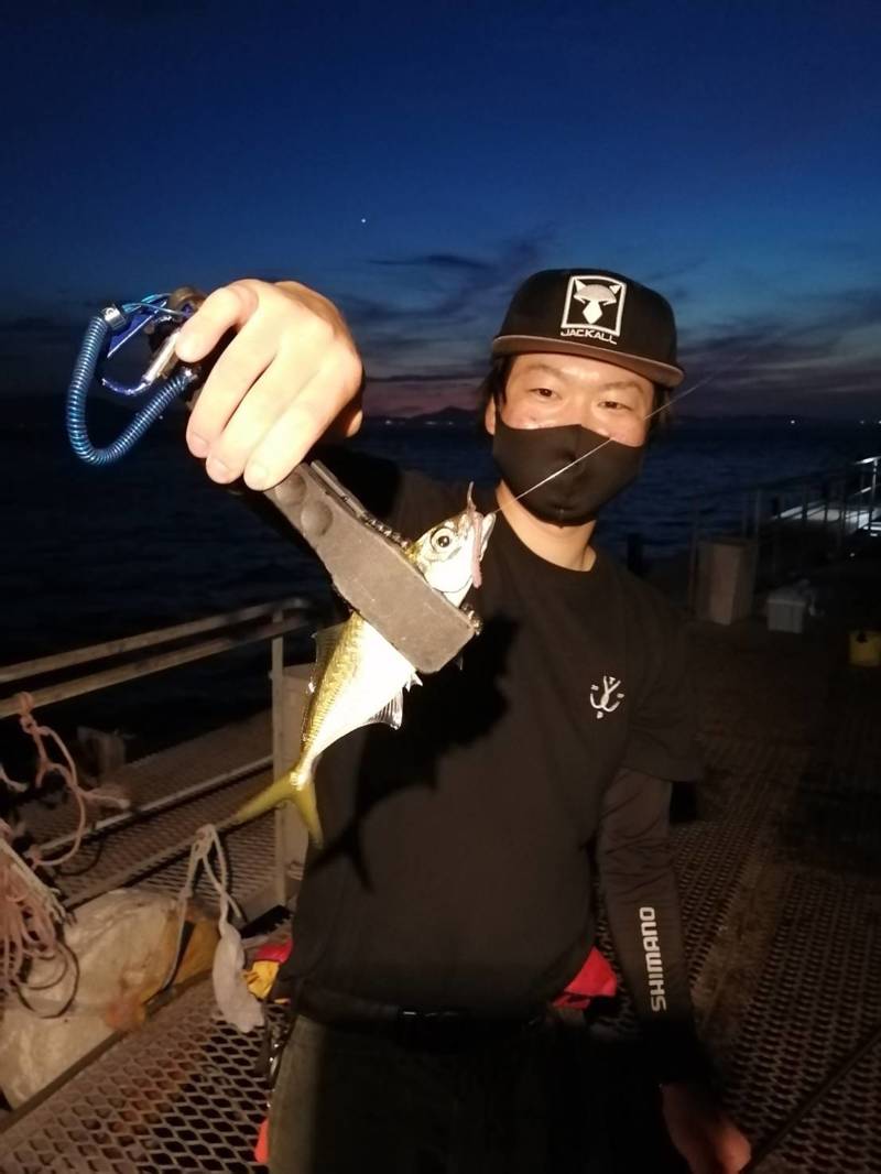 大阪府小島養魚場のアジングでアジ釣果