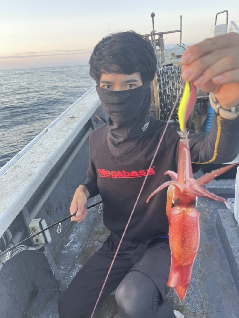鳥取県鳥取市夕凪の船釣りでケンサキイカ釣果