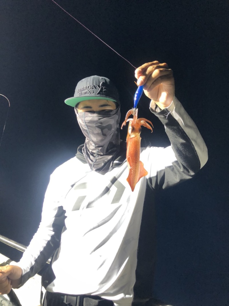 鳥取県鳥取市夕凪の船釣りでケンサキイカ釣果