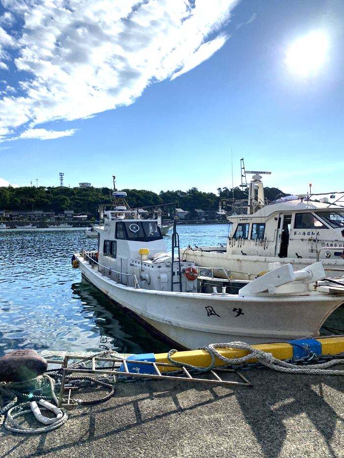 鳥取県鳥取市夕凪の船釣りでケンサキイカ釣果