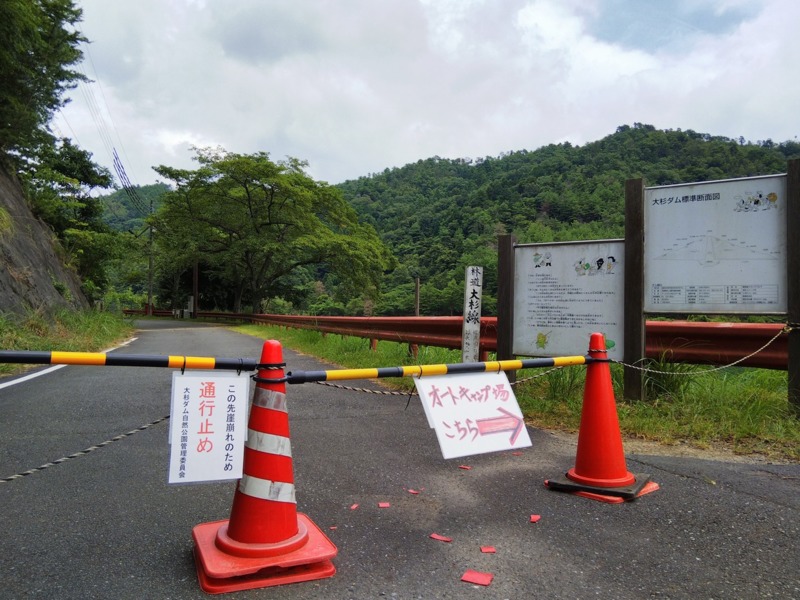 兵庫県丹波市大杉ダムの野釣りでヘラブナ釣果